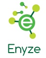 Enyze Logo